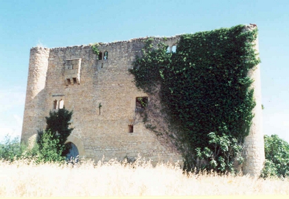 Fortificacion sinonimo